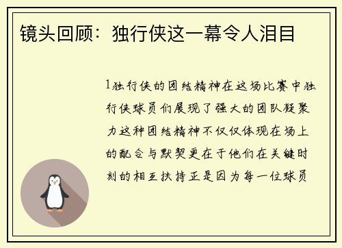 镜头回顾：独行侠这一幕令人泪目